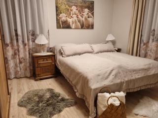 APARTAMENTY SIELSKIE - Nowe Apartamenty z prywatnym ogrodem i BILETEM NA BASEN GRATIS - 9