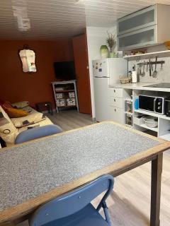 Appartement rénové à Lapte avec terrasse 40 m² - 8
