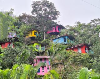Refugio Ecolodge Shapingo - Moyobamba - 0
