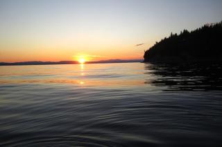 The Big Yellow Camp - 9