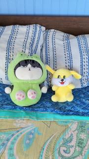 Cómoda habitación matrimonial en casa en Cocholgue - 3