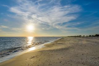 Another Happy Clam - Dauphin Island - 9