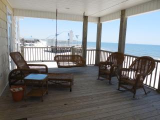 Salty Dawg - Dauphin Island - 6