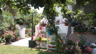 Apartments Romantica Sabunike - Privlaka - 1
