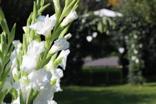 Kaštieľ AGATKA - Chorvátský Grob - 1