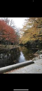 Sanctuary Summit at Linville Land Harbor - Newland - 3