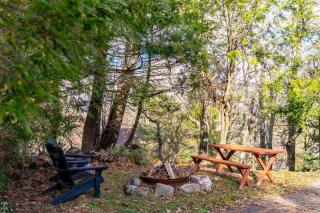 Alpine Slope - Blowing Rock - 7