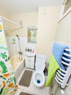 Спокойная квартира недалеко от термального басейна - Berehove - 5