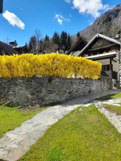 Chalet Il Nido - Ceppo Morelli - 4