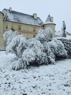 Chambre Auberge du donjon - 4