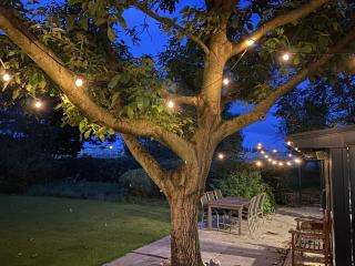 Pop-Up camping close to festival - Ganzendrieshoeve - 2