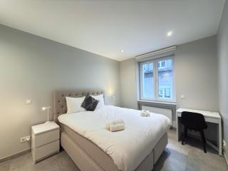 Spacious 3 bedrooms w parking in Limpertsberg - 9