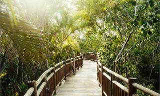 Kingdom of the Sun Mexico - Playa del Carmen - 7