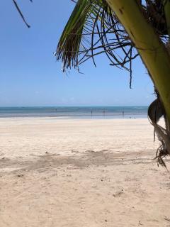 Apartamento pé na areia em Maragogi - Maragogi - 4