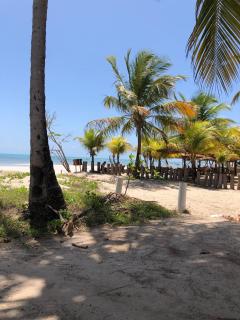 Apartamento pé na areia em Maragogi - Maragogi - 2