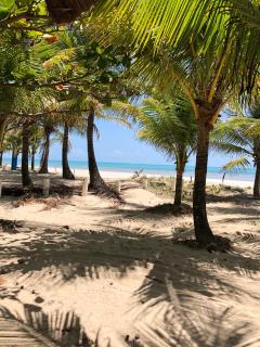 Apartamento pé na areia em Maragogi - Maragogi - 0