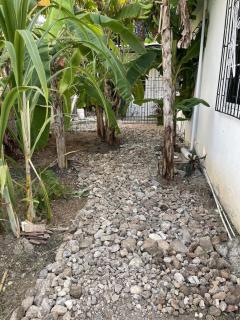 Jade Coast Getaway Near Montego Bay - Montego Bay - 2