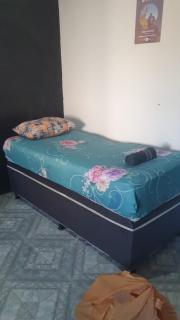 Nessa Familia P Frances - 9