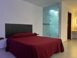 Hotel Finisterre - San Martín Texmelucan de Labastida - 7