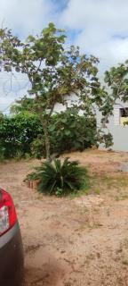 Espaço Moura - Chapada dos Guimarães - 0