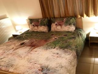Holiday home in Rendeux with fenced garden - Rendeux - 2