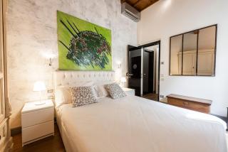 Cosy Suites in Glamorous Santo Spirito PLUS - Florencia - 6