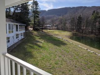 The Cozy Cat Motel at Catamount - 9