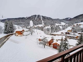 Appartement 8 pers, La Clusaz, parking, animaux bienvenus - FR-1-818-5 - La Clusaz - 3