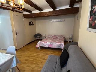 Charmant T2 au centre de La Roche-Posay avec WIFI et parking gratuit - FR-1-541-163 - 9