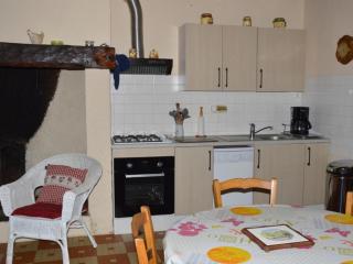 Charmante maison nature avec parking et animaux acceptés - FR-1-616-459 - Pézuls - 7