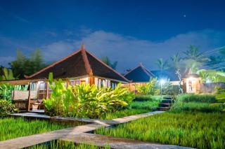 Ubud Sawah Scenery Villa and Homestay - Tegalalang - 3