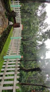 Hideaway Homestay By StayApart - Attigundi - 1