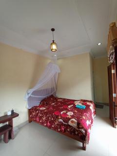 Wonderfull Orangutan sumatra hostel and tour - Bukit Lawang - 7