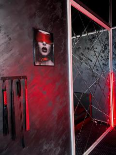 Adult only fantasy room - 9