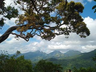 Riverston holiday home stay - 2