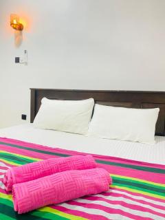 Akee villa - Matara - 8