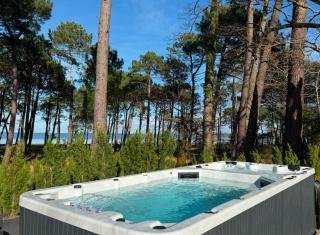 Maison du Lac avec Lagon, Spa de Nage, Jacuzzi - Biscarrosse - 5