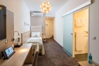 Best Western Hotel Lamm - Singen (Hohentwiel) - 3