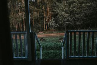 Two Brothers' Cabin - Deeside - 2