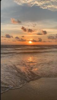 Marari dhaniel beach homestay-2 - Mararikulam - 6
