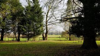 Entire Castle & Grounds for 18, Banquet Hall & BBQ - Trowbridge - 4