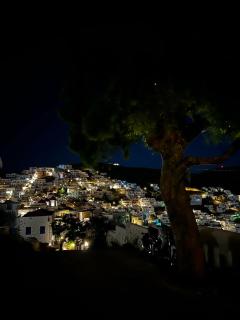 Astypalea Apartments - Astypalaia (Stampalia) - 0