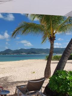 Nettle Bay Beach - Mer Caraïbes - Piscine - Caraque - 5