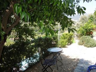 Casa Mami - - 5