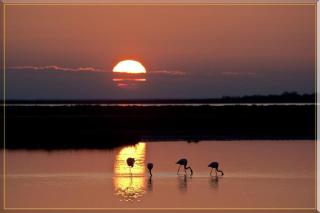 Chateau Juliette Winery Villa Provence - 7