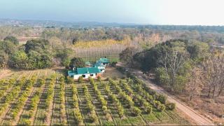 Raunaq - A Boutique Farmstay, Hoshiarpur - - 9