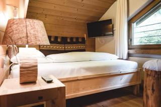 Aktiv & Spa Hotel Alpenrose - Schruns - 6