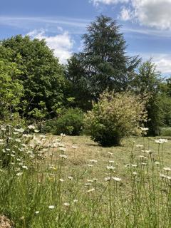 Chambre dans anciennes écuries - 8