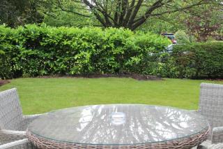 Douglas Fir Lodge - Oakmere - 8