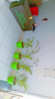 HOTEL HELIX -- RAJPURA -- Budget Rooms for Family, Couples, Solo Travellers - 9